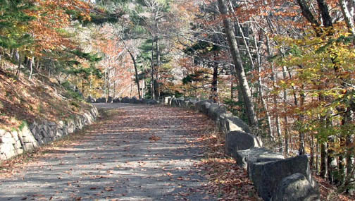 The Astonishing Comeback National Parks Land Restoration Success - ot5k79s