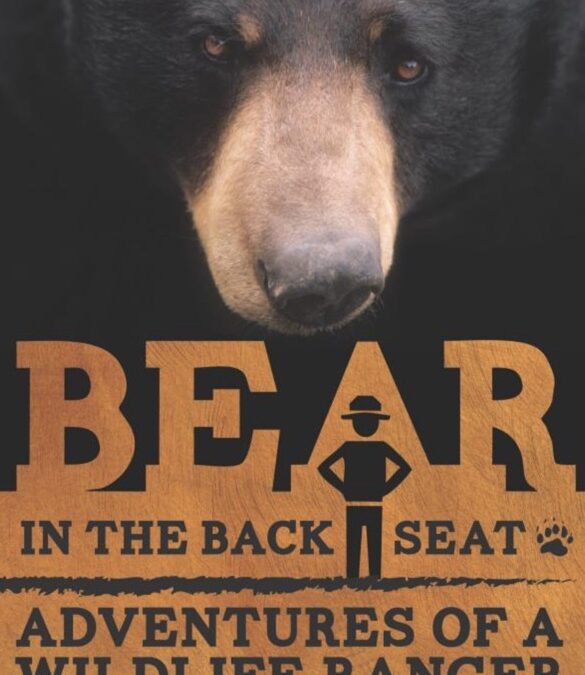 “Leave it as it is” – Bears and Skunks in the Great Smokies