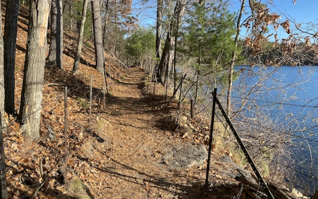 Walking with Thoreau