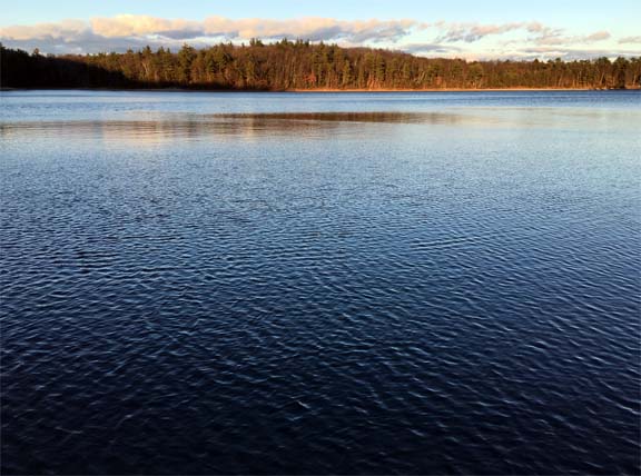 Walden Pond: The Case for Optimism