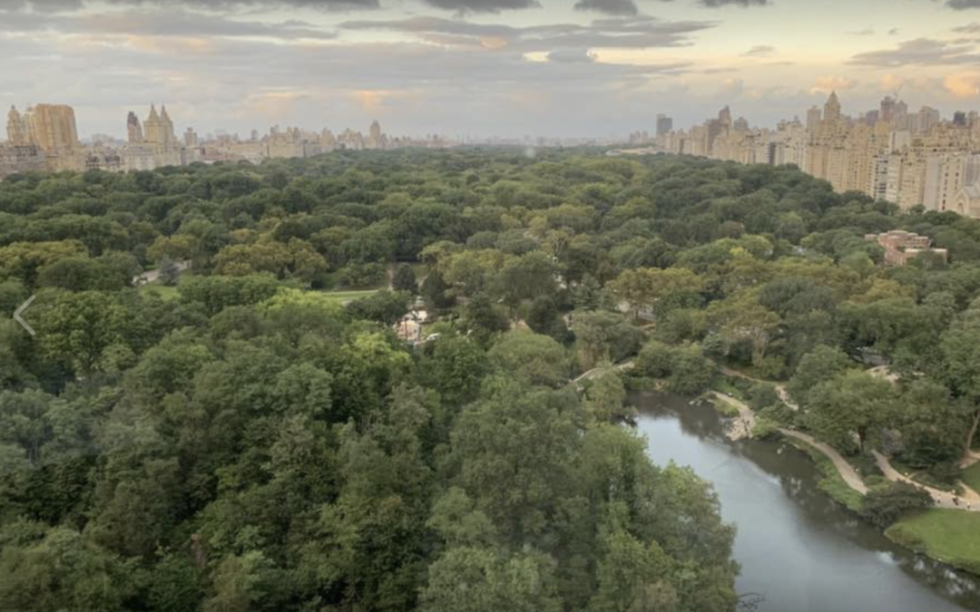 Central Park and Yosemite Park: The Olmstead Connection