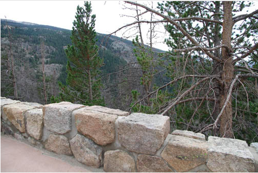 Honor the Landscape