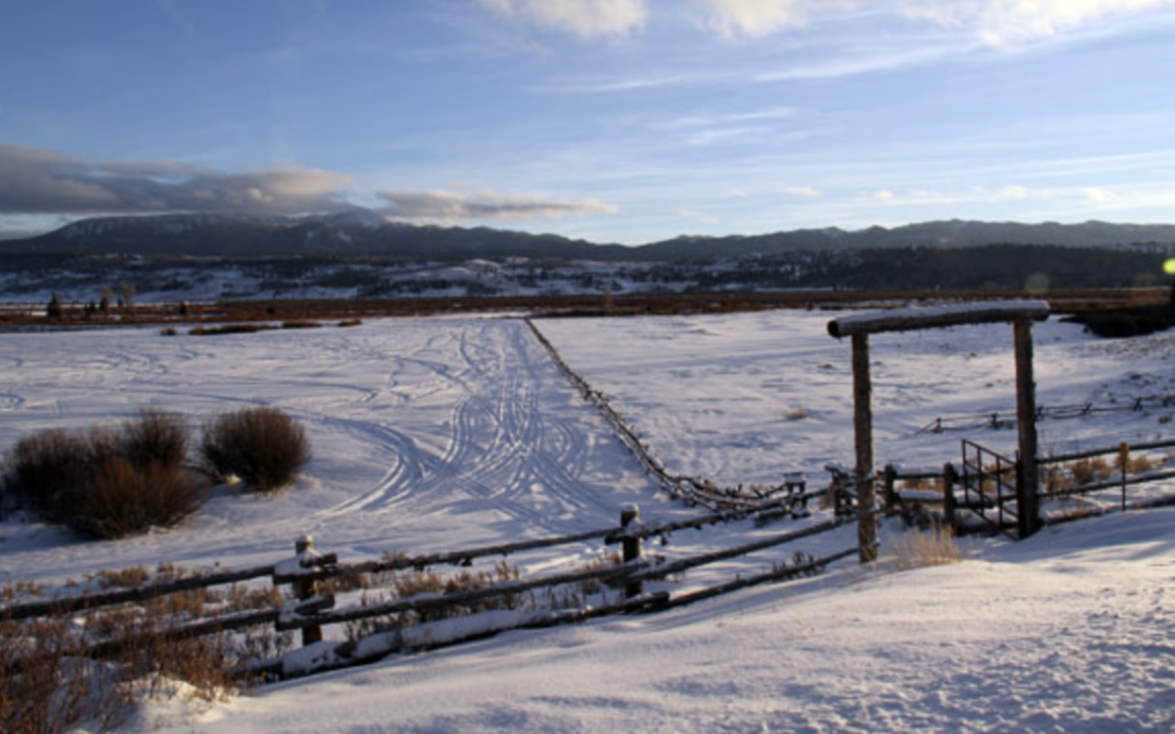 Do Fence Me In — Reflections on Iconic Fences in Jackson Hole
