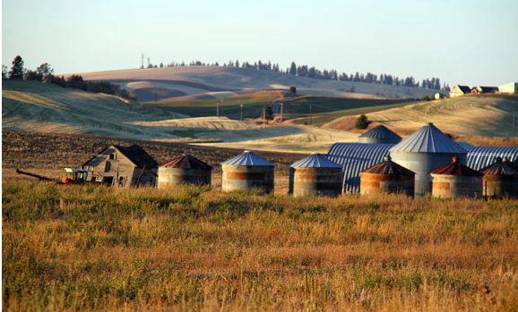“Oh Beautiful for Spacious Skies”: Reflecting on a National Anthem in the Cheney Palouse