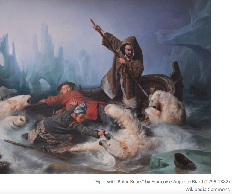 A Polar Bear’s Death: Longyearbyen