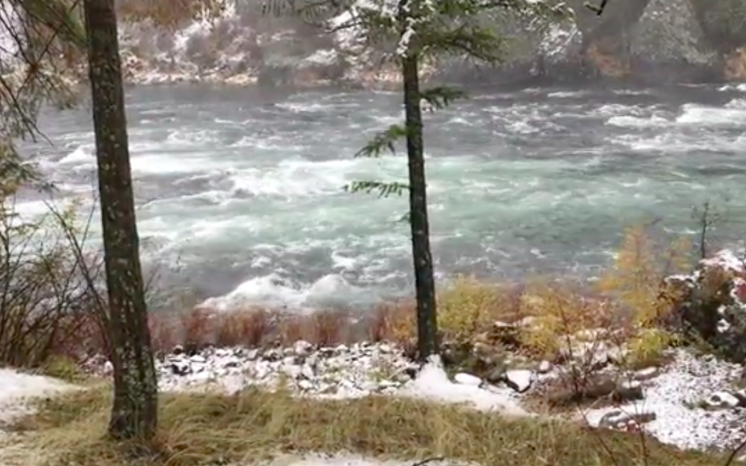Nearby Wilderness
